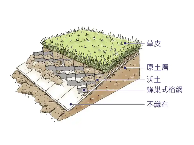 蜂巢格框, 蜂巢格網