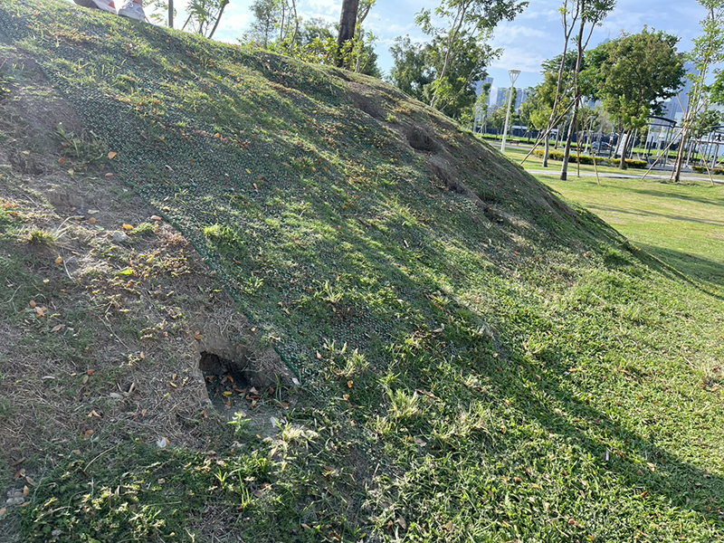 高雄時代公園